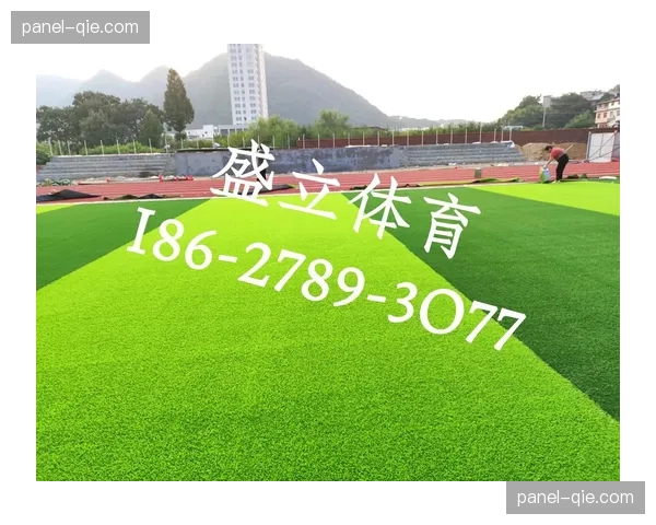 深度报道：马赛主场维洛德罗姆球场的草皮更换工程启动